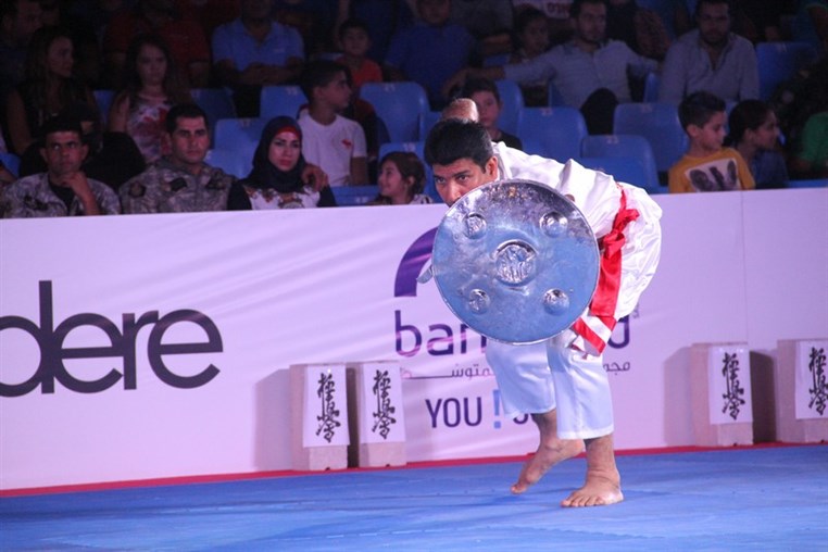 Martial Arts Festival